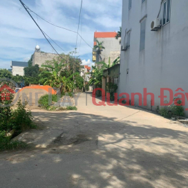 Selling a plot of land of 63.2m2 in Trung Oai - Tien Duong Dong Anh, the lane allows trucks to run comfortably, priced at only 4xtr\/m2. _0