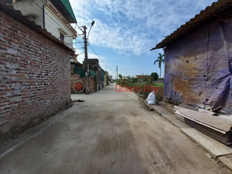 LAND FOR SALE 41.2M2 ON THE WEST BORDER OF DINH TRUNG XUAN NON DONG ANH (THU LAM NEW) - ONLY 3.X BILLION (X SMALL) Sales Listings