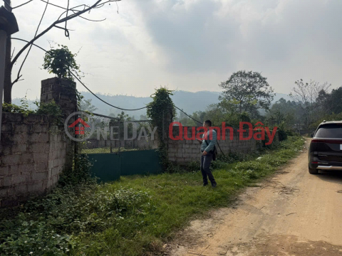 PRIME LAND - GREAT PRICE - Urgent Sale of Subdivided Land in a Strategic Location in Xuan Mai Commune, Hanoi City _0