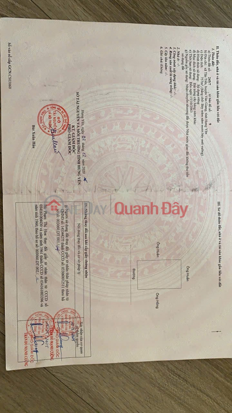 OWNER Sells Land Every Year - GOOD PRICE - In Tan Tien Commune, Van Giang District, Hung Yen _0