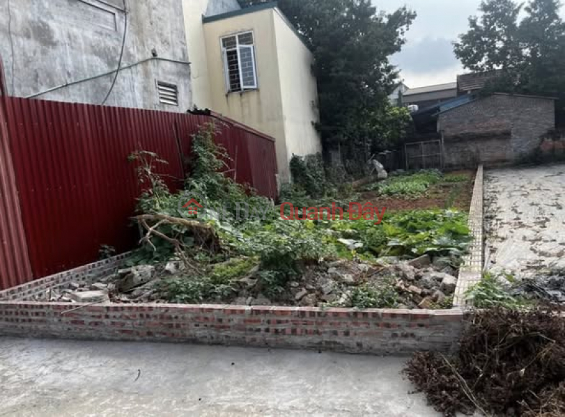 INVESTMENT OPPORTUNITY IN TICH GIANG - PHUC THO - 105m² FOR JUST OVER 2 BILLION VND Sales Listings