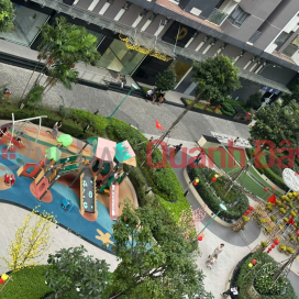 OWNER selling CORNER apartment (largest in its segment) in Him Lam Phu An condominium, Thu Duc - Landmark view _0