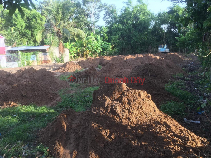 Property Search Vietnam | OneDay | Residential Sales Listings Owner Needs To Sell Asphalt Road Front Land Quickly In Tra Cu - Tra Vinh