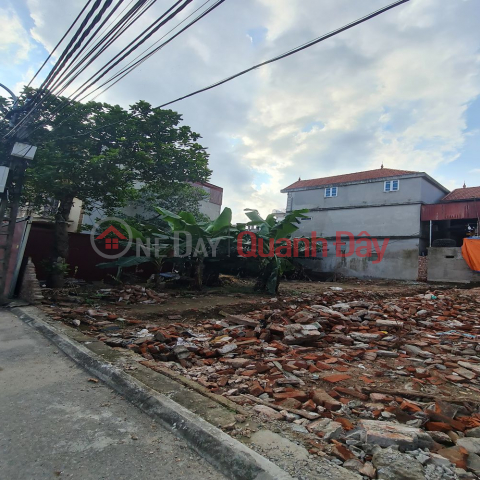 Bán đất Tân Quang, Văn Lâm 255m2 MT 10m – Đường 10m – View sông đối. Lh 0989894845 _0