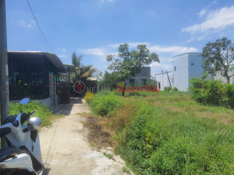 Property Search Vietnam | OneDay | Residential, Sales Listings, HOT DEAL! PRIME LAND FOR SALE - OWNER NEEDS TO SELL LAND in Hung Long Commune, Binh Chanh District, Ho Chi Minh City
