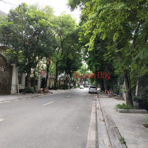 BÁN GẤP BIỆT THỰ SIÊU VIP - CỰC HIẾM – VIEW CÔNG VIÊN – HÀNG XÓM ĐẠI GIA – AN NINH TUYỆT ĐỐI. 205m 59,9 tỷ Niêm yết bán