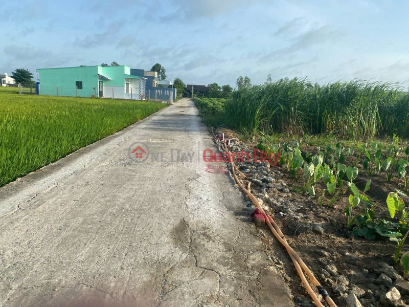 BEAUTIFUL LAND - GOOD PRICE - URGENTLY SELLING A PLOT OF POTENTIAL LAND IN BINH TAN COMMUNE, GO CONG TAY, TIEN Giang, Vietnam Sales đ 360 Million