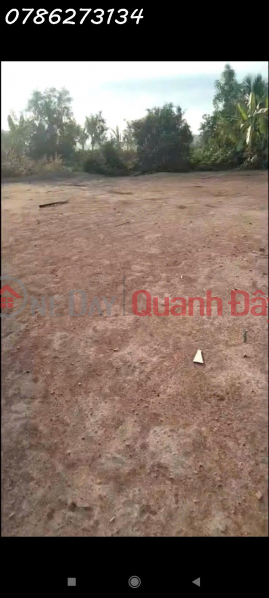 Property Search Vietnam | OneDay | Nhà ở | Niêm yết bán | BÁN ĐẤT MẶT TIỀN 30M – TỔNG 6.975m² – CÓ 975m² THỔ CƯ – ẤP 2, XÃ TÂN ĐÔNG, HUYỆN Thạnh Hóa