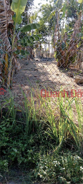 Property Search Vietnam | OneDay | Residential Sales Listings | OWNER Needs to Sell a Lot of Land in a Beautiful Location in Hoa Binh Village, Nghia Hoa Commune, Tu Nghia, Quang Ngai