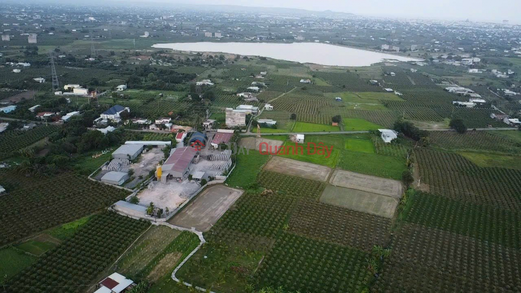 Property Search Vietnam | OneDay | Nhà ở Niêm yết bán ĐẤT ĐẸP - GIÁ TỐT Vị Trí Đắc Địa Mặt Tiền Nhựa Lớn Tại Xã Hàm Hiệp, Hàm Thuận Bắc