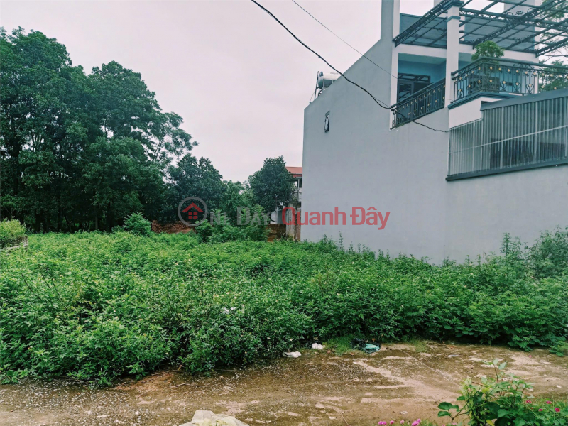 OWNER Quickly Sells 187m2 Land Plot In Binh Yen Commune, Thach That, Hanoi Sales Listings