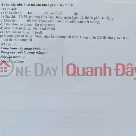 Land for sale in alley K65, Binh Thai 4 - Cam Le Ward, Da Nang City _0