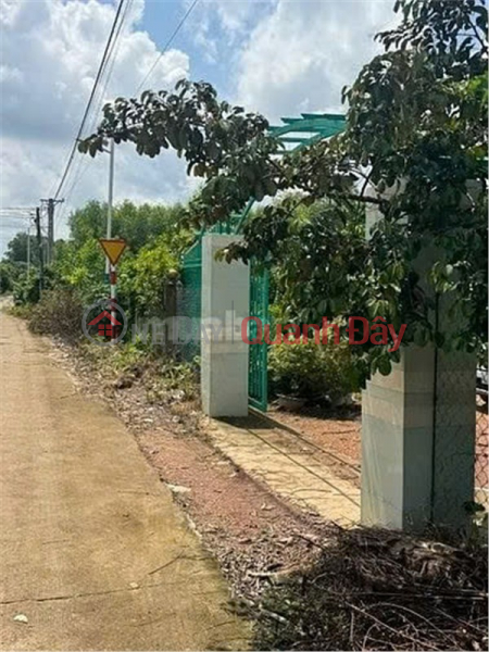 HOT HOT – OWNER URGENTLY NEEDS TO SELL A PRIME PLOT OF LAND IN PHU LY COMMUNE, VINH CUU DISTRICT, DONG NAI PROVINCE. | Vietnam | Sales, đ 3.1 Billion