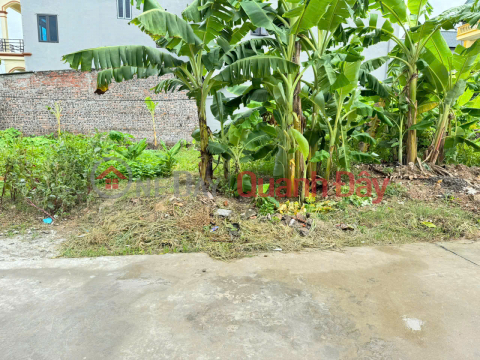 Bán đất thôn Phù Trì, Kim Hoa, Mê Linh. Đường thông, oto đỗ. Nằm sát đường vành đai 4 _0