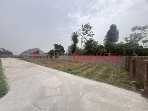 Own a beautiful 81m² plot of land in Thanh Lai, Phu Linh, Soc Son for only 2.X billion VND - Catch the rising price wave! _0
