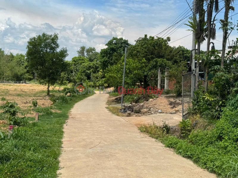 Property Search Vietnam | OneDay | Nhà ở | Niêm yết bán, Bán 5 lô đất liền kề Phú Ngọc, Định Quán, 178m2-lô, cách Quốc lộ 20 chỉ 200m, giá 450 triệu