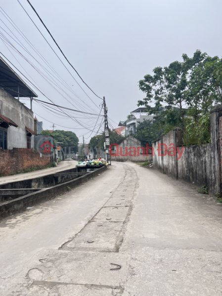 Property Search Vietnam | OneDay | Residential, Sales Listings, The owner needs to sell a plot of land of 42.8m2 in Phung Chau - Chuong My - Hanoi
