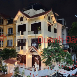 Owner reduces price by 10 billion VND, 200m2 villa in My Dinh for only 38 billion VND - 25m wide road in front of the house - SUPER BEAUTIFUL _0