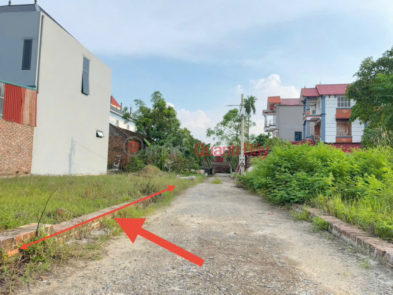 Property Search Vietnam | OneDay | Nhà ở, Niêm yết bán Bán Gấp Lô Đất Đẹp, Mặt Tiền Rộng Hơn 6m - Tiềm Năng X2 Tài Sản Tại Quang Minh