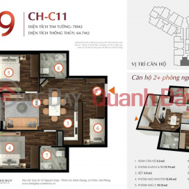 2 Apartments for Sale by Owner at Hoang Huy Commerce, Vo Nguyen Giap Street, Le Chan District. _0