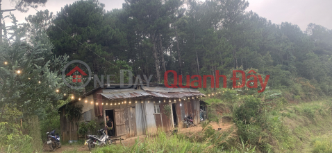 BEAUTIFUL LAND - GOOD PRICE - OWNER SELLING LOT OF LOT IN Da Lat City, Lam Dong Province _0