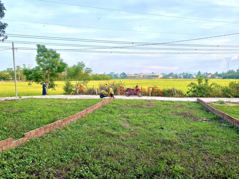 Selling 241m2 of residential land completely near Hoa Vang District Administrative Center, 500m from National Highway 14B Vietnam, Sales đ 1.1 Billion