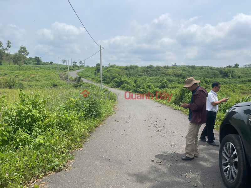 Owner land in Binh Trung commune, Chau Duc, BRVT Vietnam Sales đ 710 Million