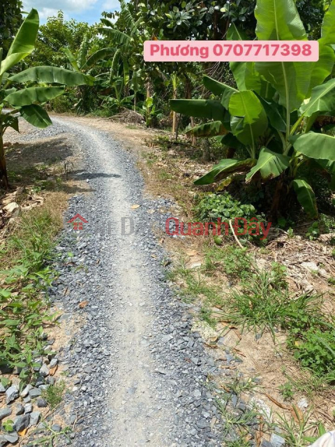 Land for sale in My Tho Commune, Cao Lanh District _0