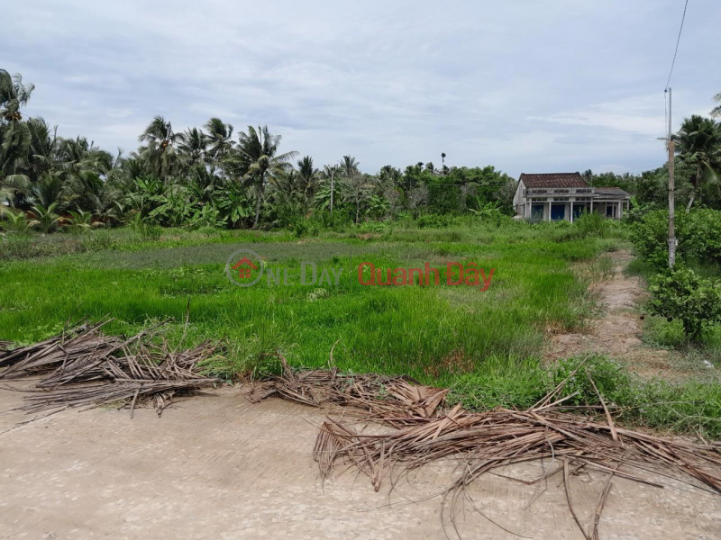 Property Search Vietnam | OneDay | Nhà ở | Niêm yết cho thuê, Cần Bán Nhanh Lô Đất Tiềm năng- Giá Tốt tại huyện Tam Bình, tỉnh Vĩnh Long