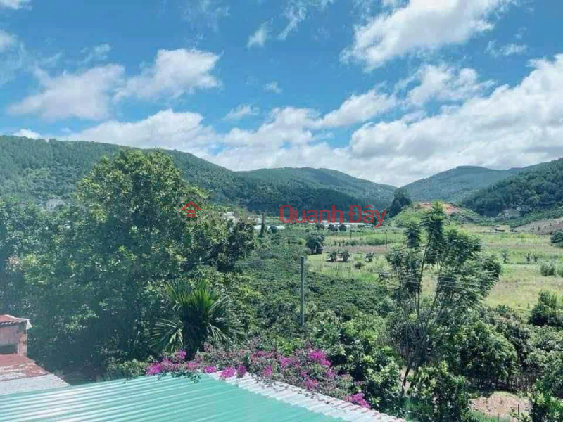 Property Search Vietnam | OneDay | Nhà ở, Niêm yết bán, BÁN ĐẤT CAM LY ĐÀ LẠT - 8010M2, 338M2 THỔ CƯ, QUY HOẠCH FULL THỔ, GẦN CÁC ĐIỂM DU LỊCH