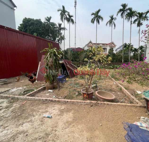 Bán đất Tráng Việt, Mê Linh, HN. Đường rộng, oto ra vào đất. Gần dự án cầu Thượng Cát Niêm yết bán