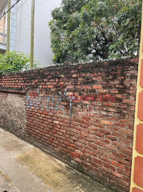 BÁN LÔ ĐẤT ĐẸP TẠI THÔN LỰC CANH, XÃ XUÂN CANH, ĐÔNG ANH, HÀ NỘI _0
