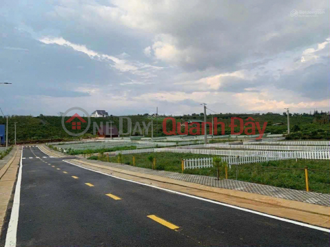 Bán Đất nền tại Xã Đam Bri, Bảo Lộc, Lâm Đồng, 2,8 tỷ, 223m2 chỉ với giá ưu đãi _0