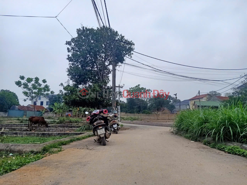 CẦN BÁN LÔ ĐẤT GIÁ CỰC TỐT CHO NHÀ ĐẦU TƯ THÔNG THÁI - ĐẦY ĐỦ TIỆN ÍCH Niêm yết bán