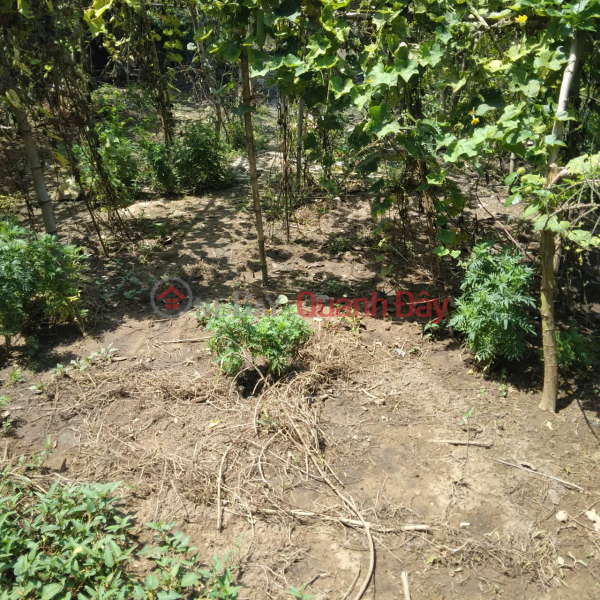 đ 360 triệu ĐẤT ĐẸP - GIÁ TỐT - Cần bán gấp 2 nền đất tại Đức Hòa, Long An