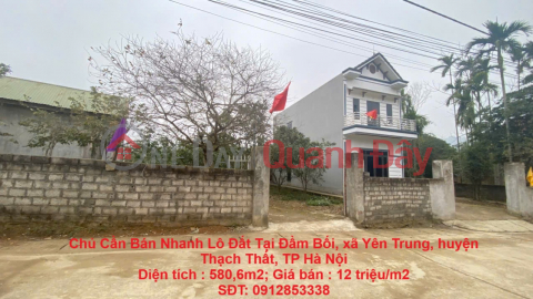 Owner Needs To Quickly Sell A Plot Of Land At Dam Boi, Yen Trung Commune, Thach That District, Hanoi City _0