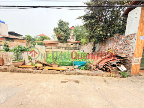 WITH ONLY 2 BILLION VND, YOU CAN OWN 59M² OF LAND IN VONG XUYEN - PHUC THO - HANOI. _0