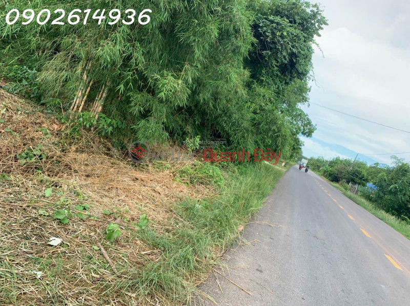 Bán đất đường Lò Rèn, Long Hòa, 24tỷ, 8000m2 view đẹp Hot! Niêm yết bán