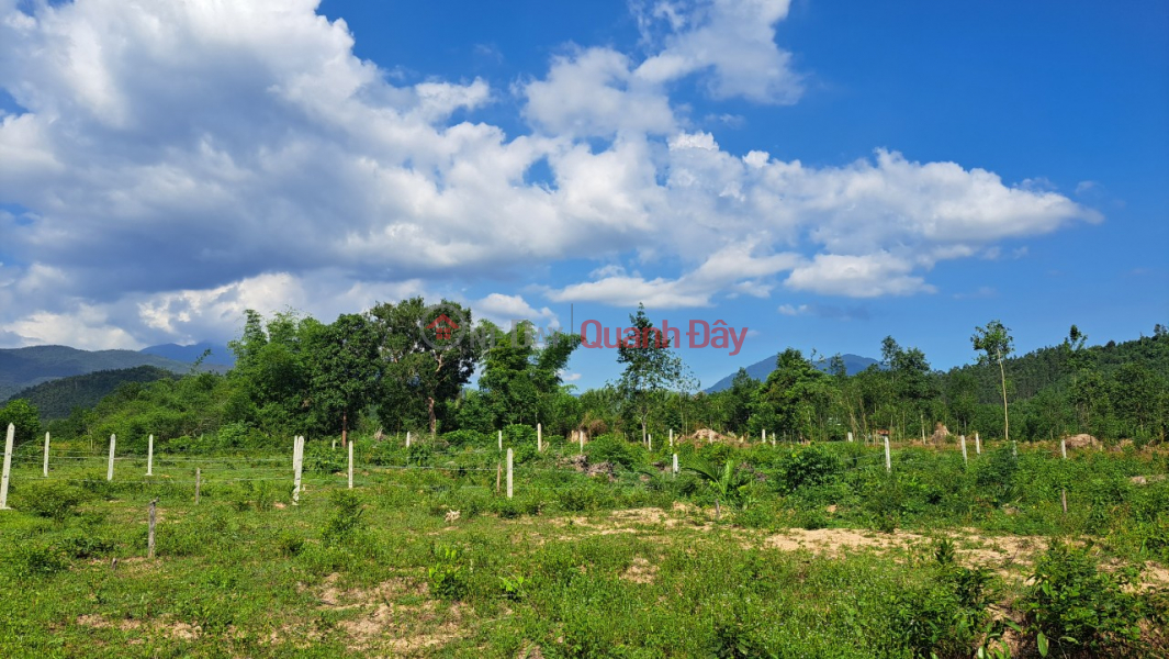 The owner needs to wholesale a full residential land plot divided into 3 lots in Khanh Binh, Khanh Vinh Sales Listings