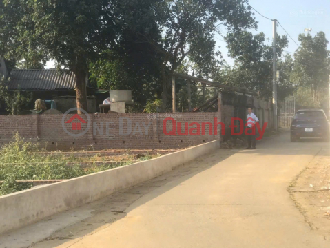 Need money to pay the bank - Urgent sale of a beautiful plot of land on Road 21A, Hoa Thach, Quoc Oai - A rare investment opportunity. _0