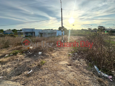 PROFITABLE INVESTMENT - OWNER Needs to Quickly Sell Land Plot in Tan Thanh Commune, Go Cong Dong, Tien Giang _0