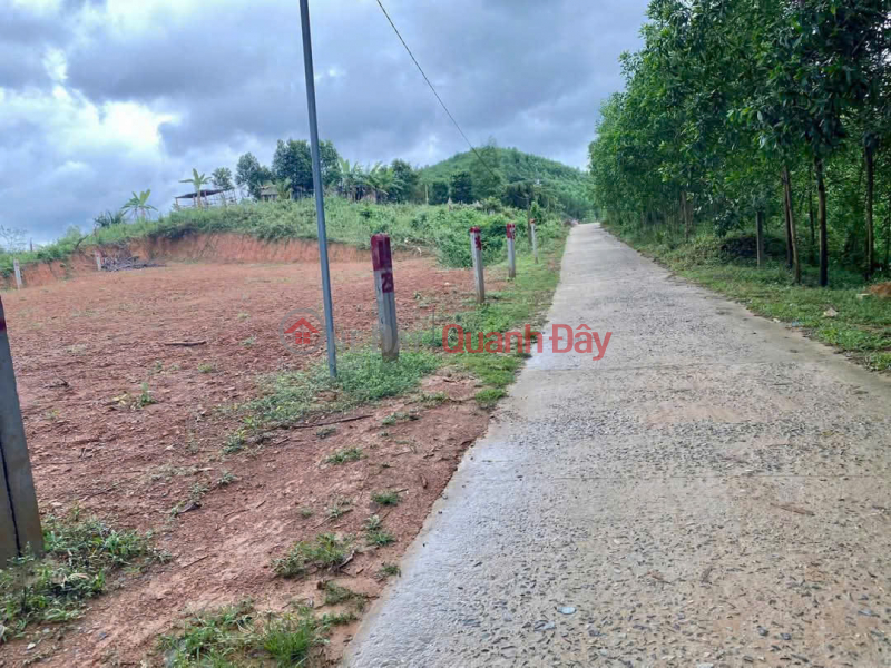 Property Search Vietnam | OneDay | Nhà ở | Niêm yết bán BÁN LOCK 5 LÔ KHÁNH ĐÔNG, KHÁNH VĨNH, KHÁNH HÒA FULL THỔ DÂN ĐÔNG 2 ĐẦU, ĐƯỜNG Ô TÔ TẬN ĐẤT