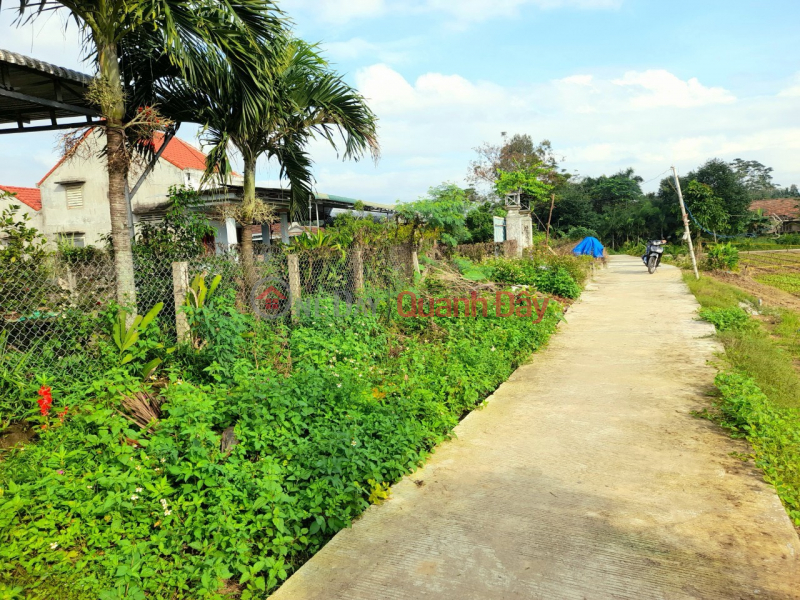 Property Search Vietnam | OneDay | Nhà ở | Niêm yết bán, Hơn 1 sào đất (560m2) BHK full hồng Quy hoạch đất ở Tp.Quảng Ngãi chỉ 150 triệu