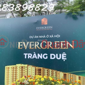 Bán nhà ở xã hội EverGreen Tràng Duệ, An Dương, Hải Phòng - Studio _0