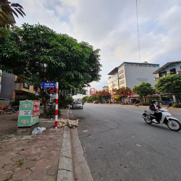 Property Search Vietnam | OneDay | Residential | Sales Listings, 31-hectare land plot for auction in Trau Quy, Gia Lam, Hanoi. 232m2. 12m frontage, 12m road. Good price. Contact 0989894845