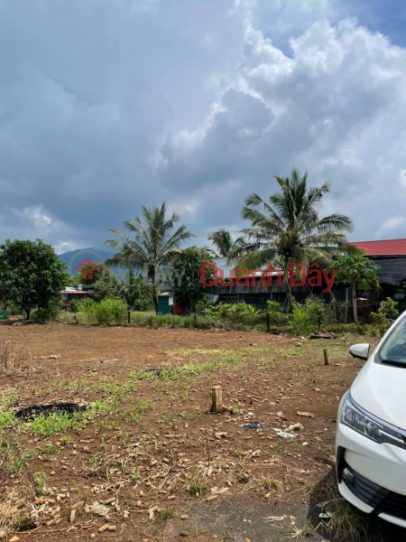 OWN A UNIQUE BEAUTIFUL LOT OF LAND - SUPER INVESTMENT PRICE In Xuan Phu Commune, Xuan Loc District, Dong Nai Province | Vietnam, Sales, đ 550 Million