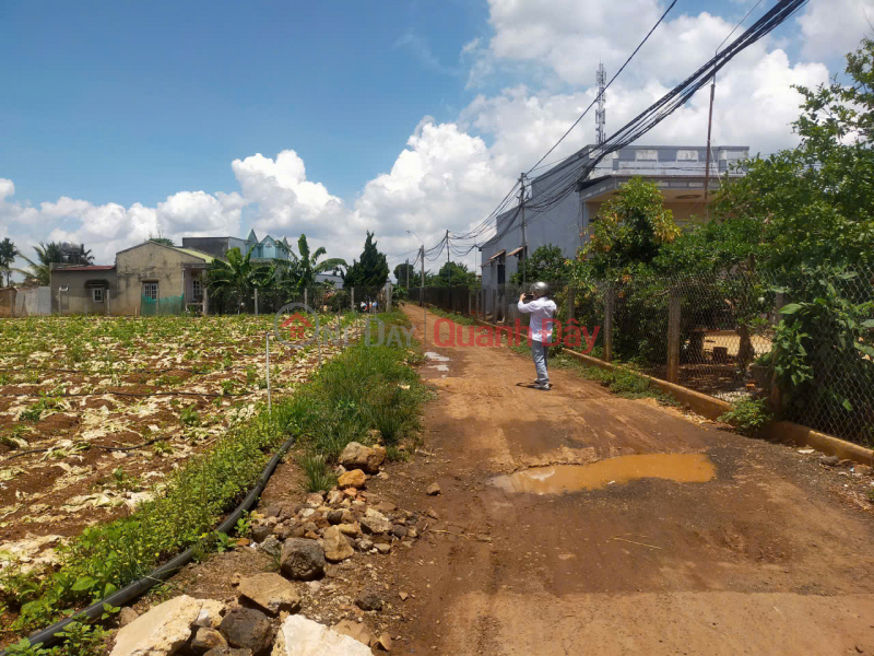 Property Search Vietnam | OneDay | Residential, Sales Listings, Land for sale, 360m2, R'Chai, Duc Trong, Lam Dong, 1.7 billion VND.