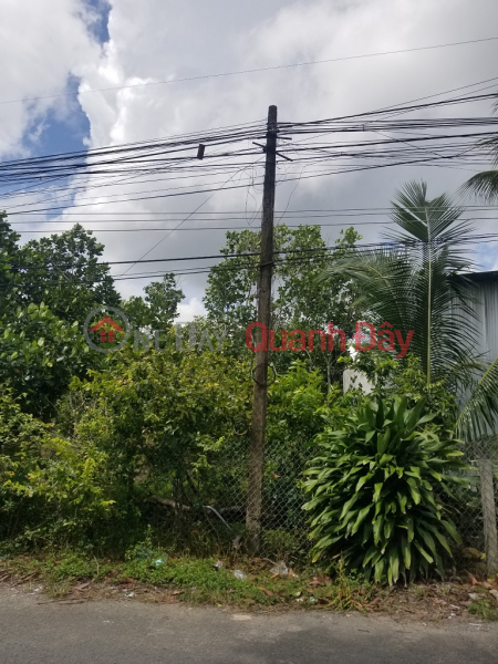 đ 5 Billion | BEAUTIFUL LAND - CASH - Quick Sale At Bong Vang Street, My Khanh, Phong Dien, Can Tho