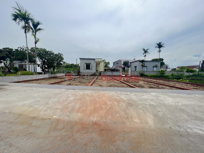 Property Search Vietnam | OneDay | Residential | Sales Listings | The owner needs to sell a large plot of land right in the center of My Duc commune, near a primary school.