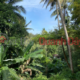 GREAT PRICE - OWNER SELLING QUICKLY: Plot of Land with Frontage on Y Jút Street, Buon Ma Thuot City _0
